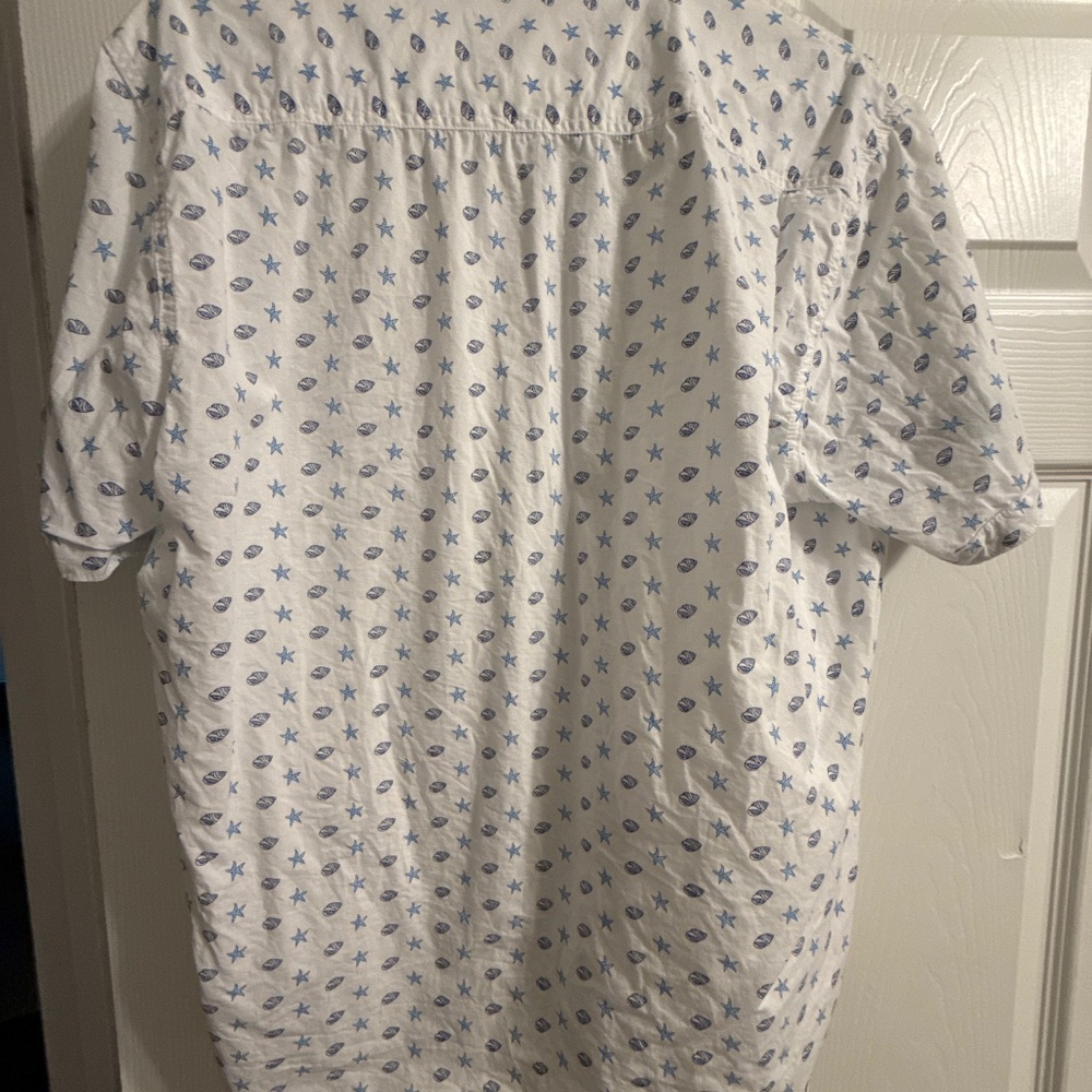 International Report Size Large Seashell Pattern - Picture 2 of 3